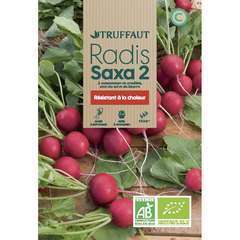 5000 graines-Gros emballage Légumes biologiques-Radis SAXA
